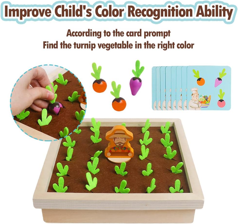 Carrot Harvest Toy